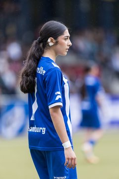 Bild 333 - wBJ Hamburger SV - FC Suederelbe : Ergebnis: 9:0